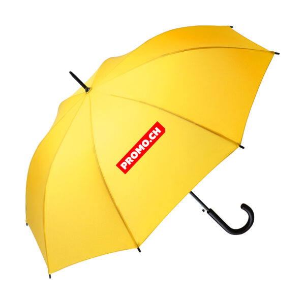 Stockschirm mit Logo – elegantes und funktionales Werbemittel für Spendenkampagnen.