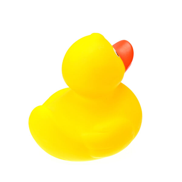 Rotary Floating Duck – Bild 4
